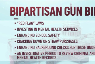 美枪支法案取得关键性进展 两党议员罕见达成协议