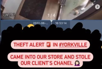 多伦多华人店香奈儿包被盗！2名性感美女小偷遭曝光！