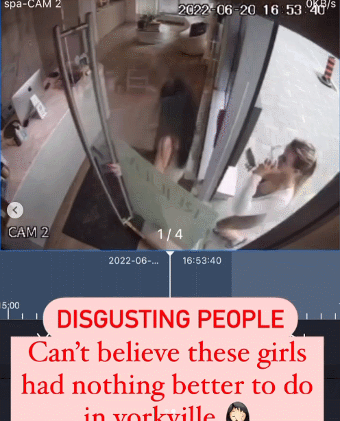 多伦多华人店香奈儿包被盗！2名性感美女小偷遭曝光！