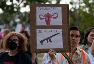 法报纸：不向枪支问题宣战，向女人宣战