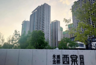 郑州＂最高学历楼盘＂停工上热搜 政府已成立专班