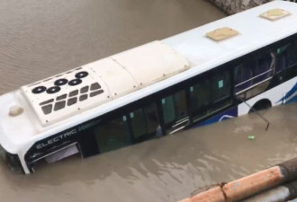 上海公交车坠入河道 司机意识清醒