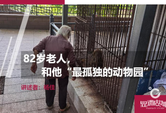 现实浪漫:82岁老人和他“最孤独的动物园”