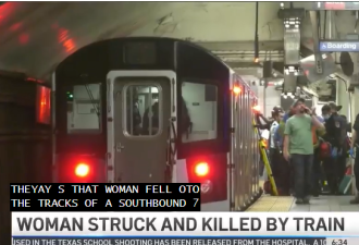 女子突然坠落曼哈顿铁轨，遭列车撞毙