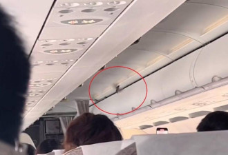 东航一客机舱飞行中出现小鸟 不影响安全
