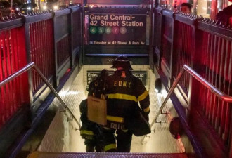 【视频】22岁华裔女生地铁站坠轨: 卷入车底当场惨死！血肉模糊！