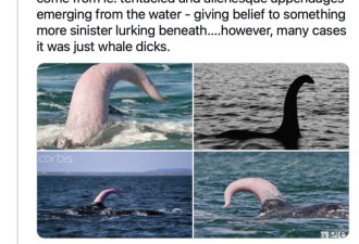 尼斯湖水怪才不是鲸的丁丁 但这些海怪可能是