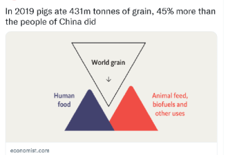 “猪吃掉4.31亿吨粮食，比中国人多45%”