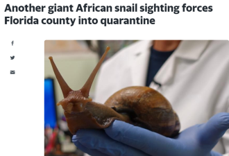 世界上最强破坏型大蜗牛入侵 全美危险