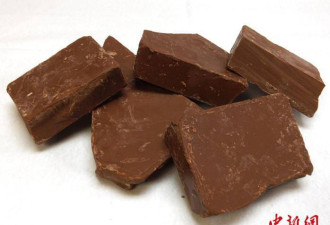 世界最大巧克力工厂发现沙门氏菌 已暂时停产