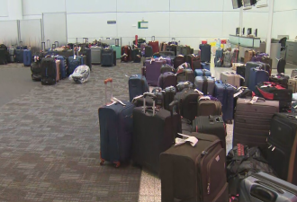 男子多伦多机场找行李找了16天