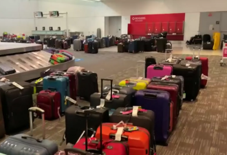 多伦多机场太乱了！男子16天找不到行李 还有人丢了狗