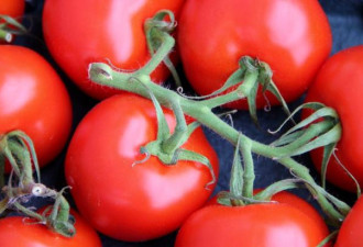 注意：有致癌风险 和你常吃的西红柿有关