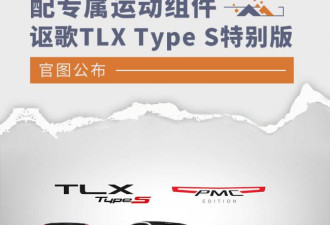 运动组件 讴歌TLX Type S特别版官图公布