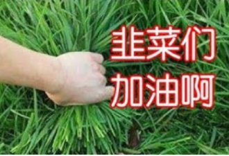上海上热搜 城市“割韭菜”又有新招了