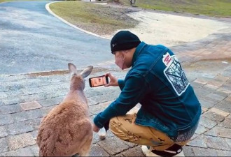 周杰伦在澳洲跟袋鼠一起看新MV！
