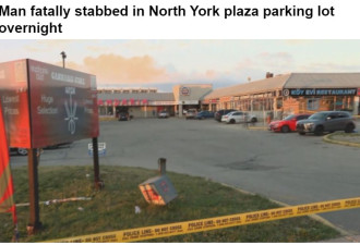 北约克一男子停车场被刺死亡
