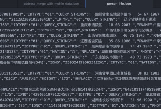 上海公安数据库泄露 25万条中国警方档案记录了什么？