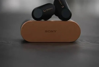 史低价！Sony WF-1000XM3 无线降噪豆！