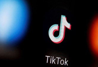 意大利数据监管机构对TikTok发出警告