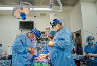 美国完成2例猪心人体移植 25年开始临床