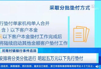 河南村镇银行进展:5万元以下先行垫付！