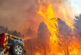 热浪滚滚:法国西南林火毁上万公顷植被
