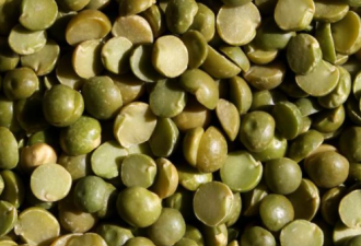 美国数百人吃扁豆产品后生病 最小患者仅4个月大