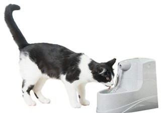 Petsafe 宠物饮水机1.2L含过滤器$16.96