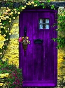 purple-door