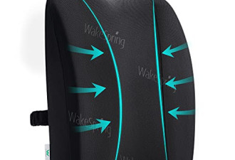 WakeSpring 记忆海绵腰部靠垫/支撑枕$19.99