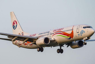 国际民航组织确认白俄这样迫降国际航班