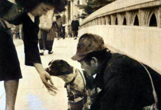 二战结束后 日本士兵回国后的真实生活