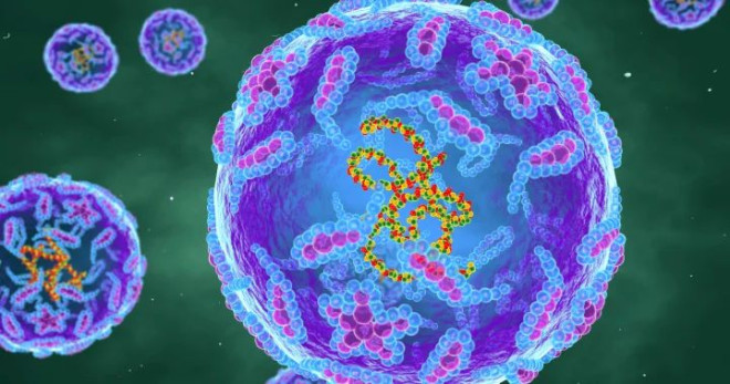 New York records 1st polio case in over a decade - National | Globalnews.ca - News WWC