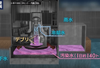 日本福岛核电站百万吨核污染水入海 有何危害？