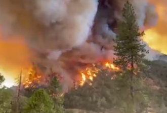 加州优胜美地附近野火窜烧 紧急疏散6000余人
