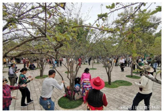 中国避暑城市第一名：空调用不到