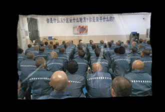 社会大哥懂行 为什么上海监狱盛产艺术家