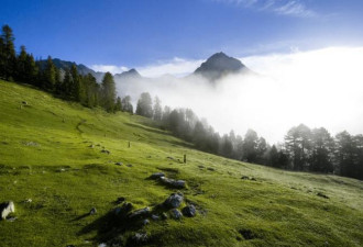 瑞士的恩嘎丁地区：孤独地美丽盛放
