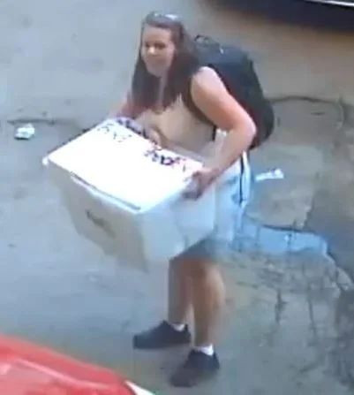 Police are seeking to identify two female suspects after a vehicle was stolen in Toronto.