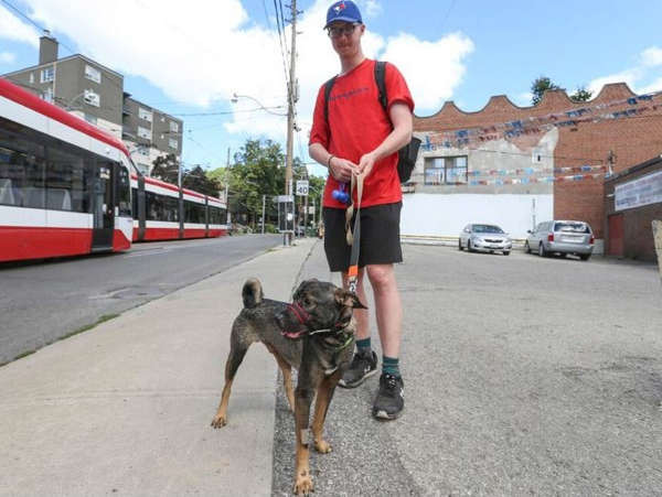 Toronto police, city investigating after another dangerous dog report