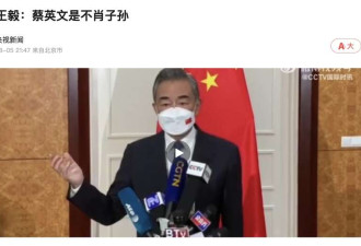 王毅在金边召开记者会:蔡英文是不肖子孙