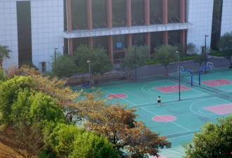 女儿上学后,我亲历的升学压力:从小开始卷