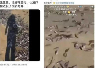 军演造成遍地死鱼视频全网刷屏 陆媒解释