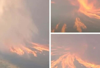 加州大火现场：“火焰龙卷风”视频曝光