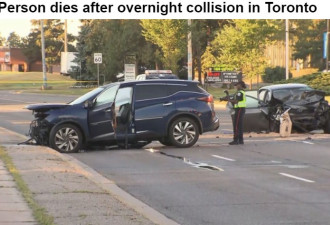 多伦多两车迎头相撞一人死亡
