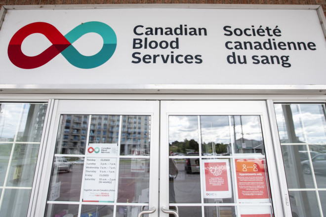 Nearly 57,000 appointments need to be filled for sufficent blood supply: Canadian  Blood Services | CityNews Toronto