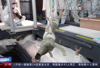 三星堆8号坑“上新”了 带翅膀神兽首现