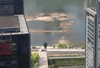 1961年以来最强高温热浪事件！重庆嘉陵江被晒干？
