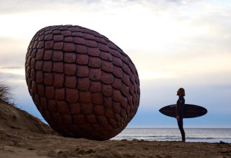 澳洲海滩现一枚诡异巨蛋 有人认定是龙蛋